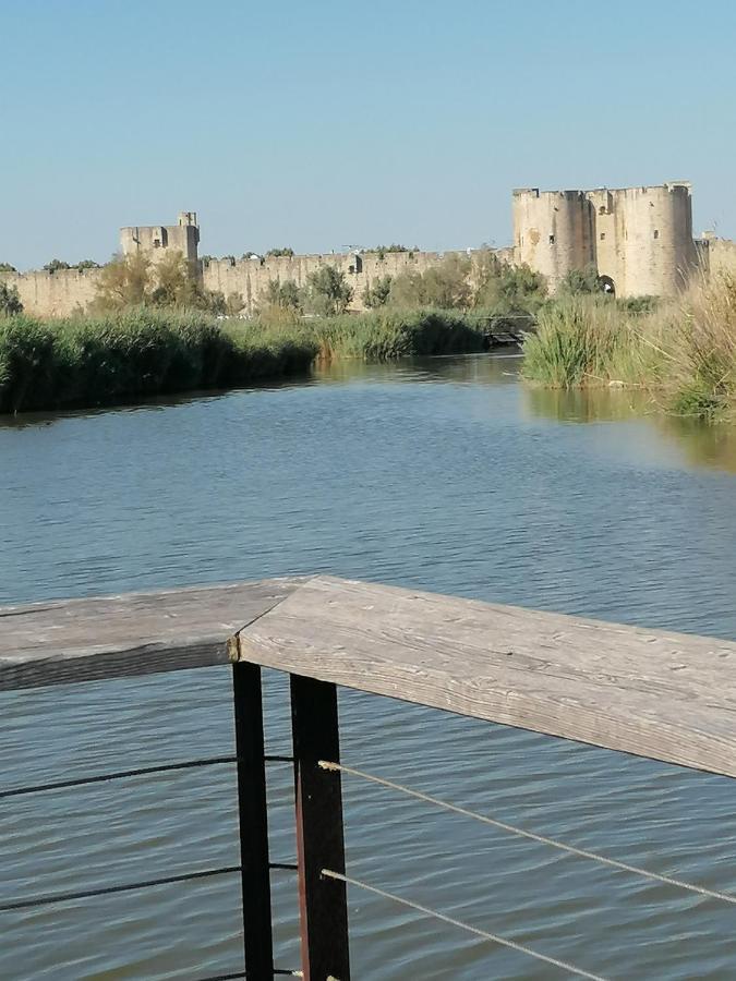 Marina A Aigues Mortes - Gard Экстерьер фото